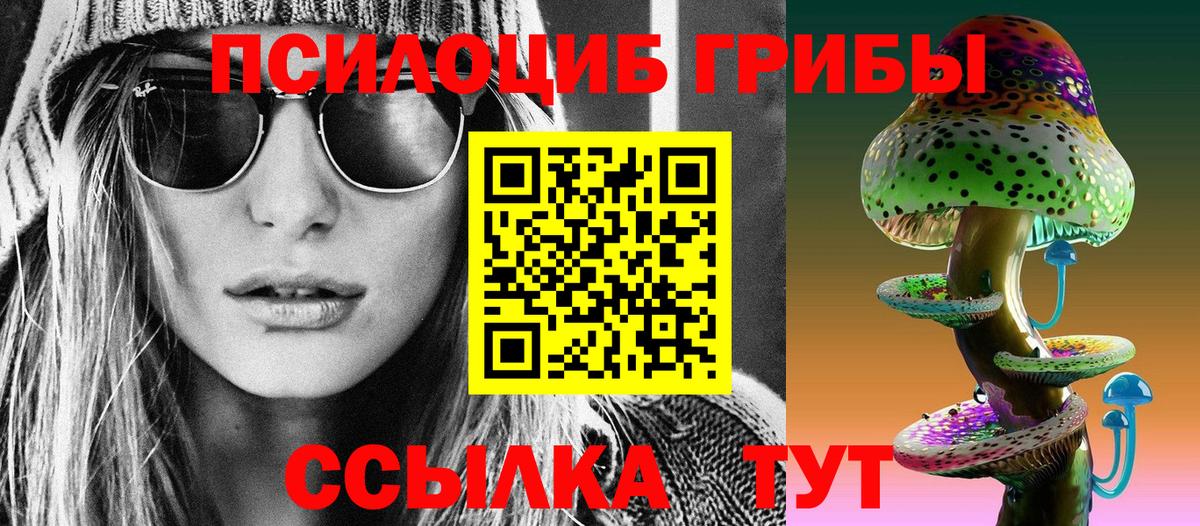 Лесозаводск  Псилоцибиновые грибы Psilocybe  Вход с VPN  Галлюциногенные грибы мухоморы 